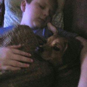 Meet your Posher, Gauge